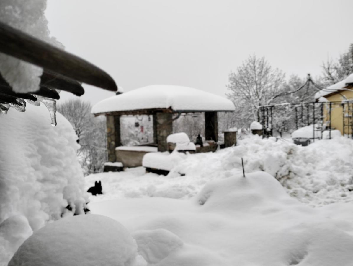 B&B La Corte Dei Cerri- Il Piccolo Chalet Frassinoro Exteriér fotografie