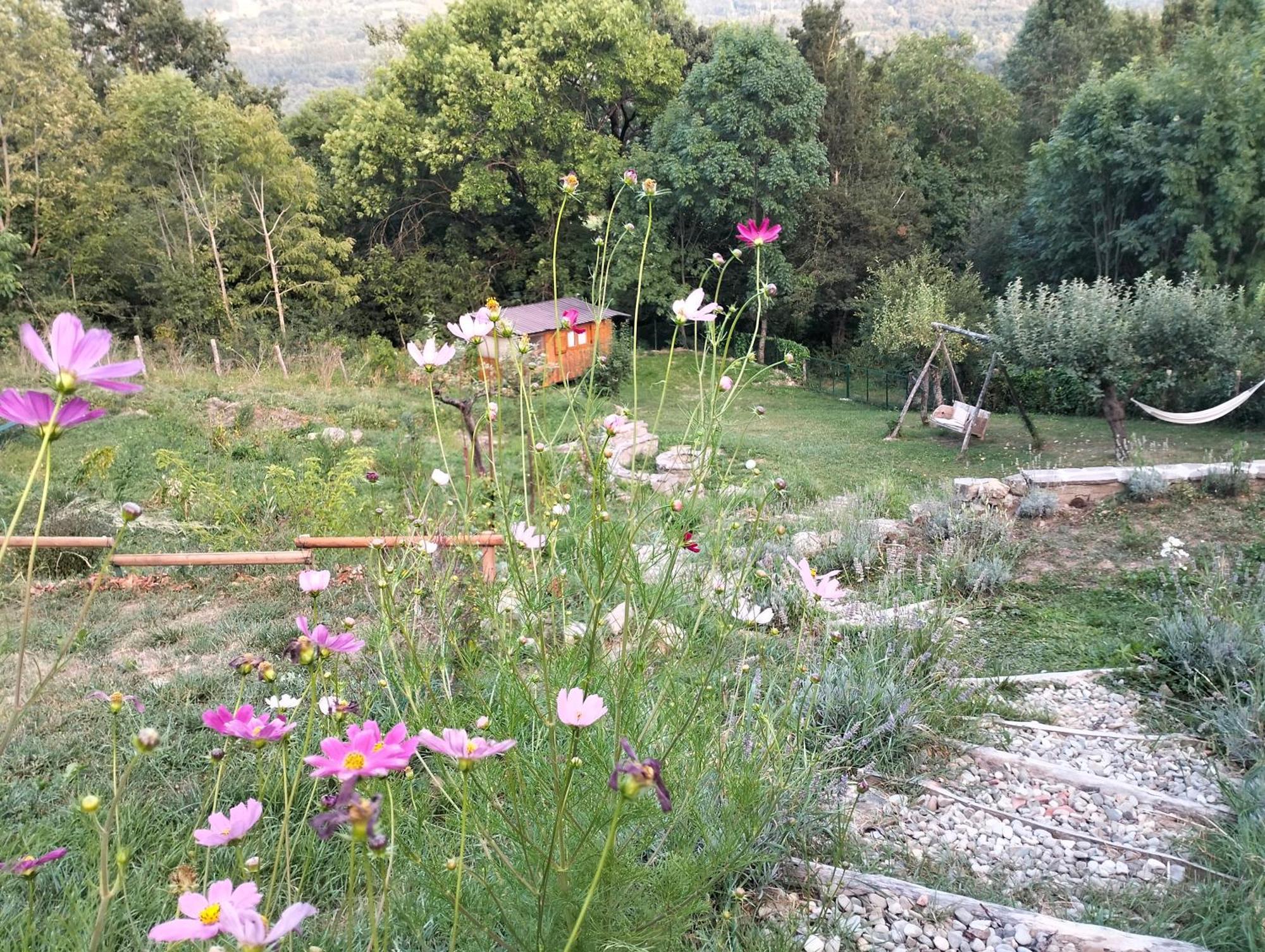 B&B La Corte Dei Cerri- Il Piccolo Chalet Frassinoro Exteriér fotografie